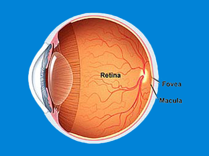 Retinal Treatment